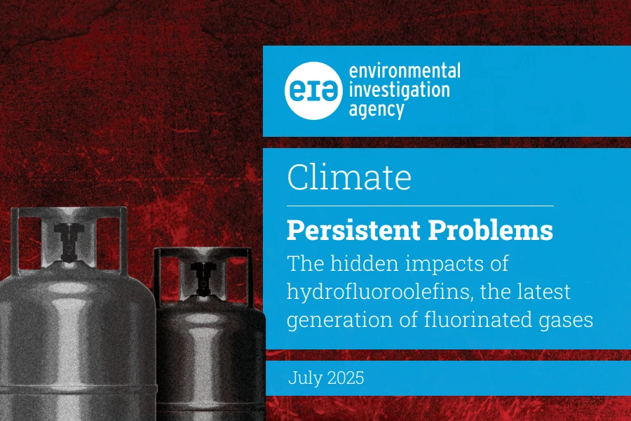 Потребление ГФО и ГХФО может удвоиться к 2030 году, но их влияние на экологию вызывает тревогу